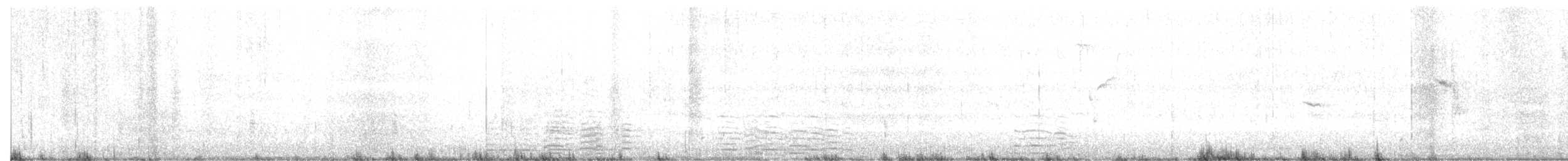 Trumpeter Swan - ML89156621