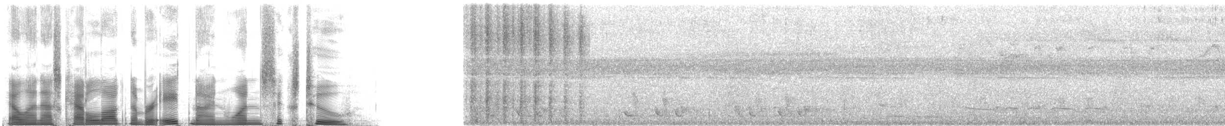 Tepeli Oropendula - ML89162