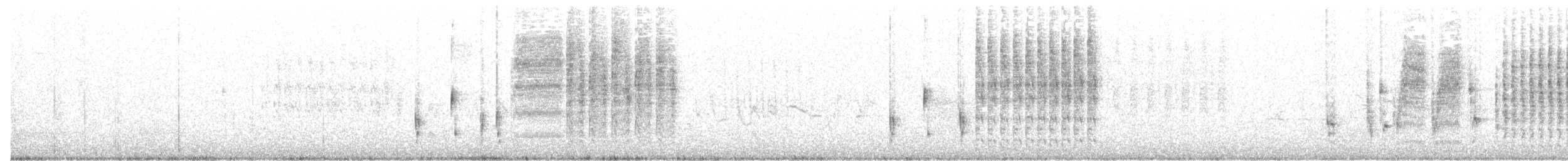 Marsh Wren (paludicola Group) - ML89165041