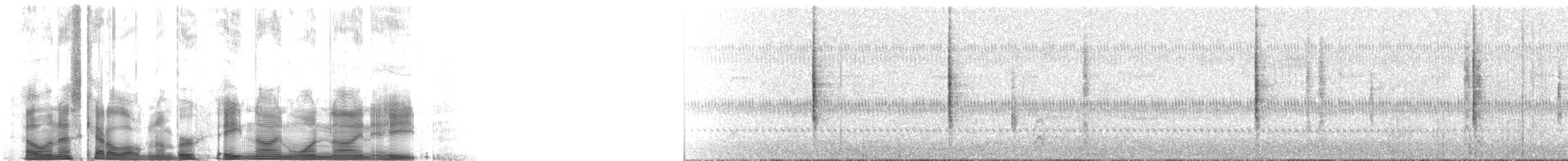 Common Yellowthroat - ML89198