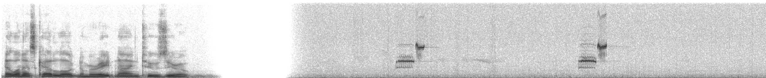 Louisianawürger - ML8920