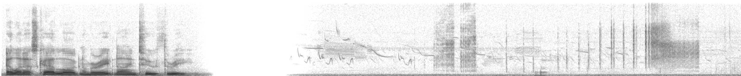 Loggerhead Shrike - ML8923