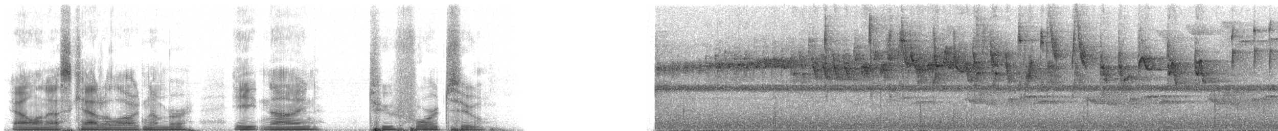 Üç Şeritli Ötleğen (auricularis) - ML89242