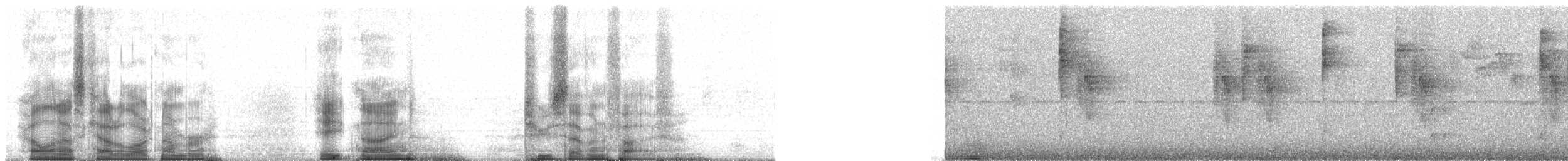 Klorospingus [flavopectus grubu] - ML89275