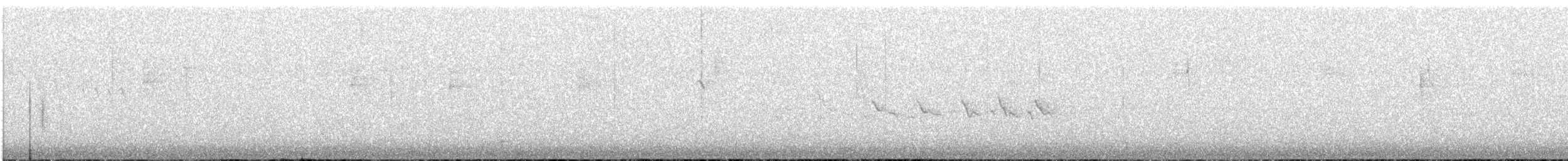 Bahama Warbler - ML89307511