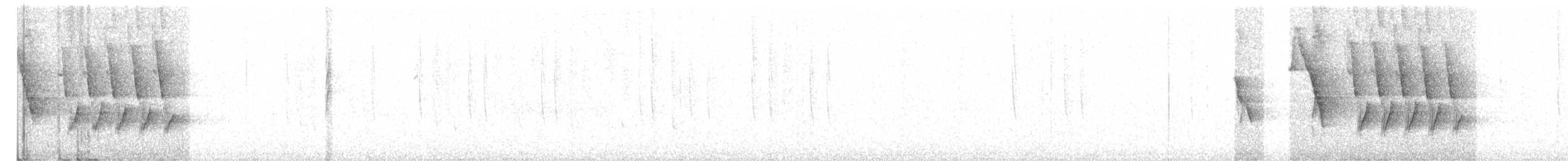 Пятнистый x Воротничковый тохи (гибрид) - ML89311871