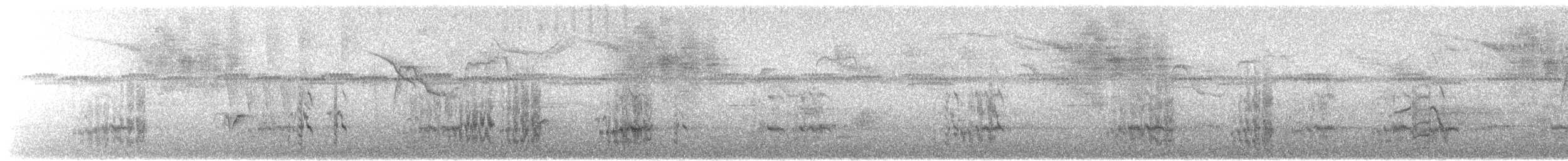 amazoňan dominický - ML89335811