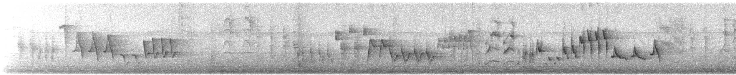 Troglodyte familier (rufescens) - ML89339821