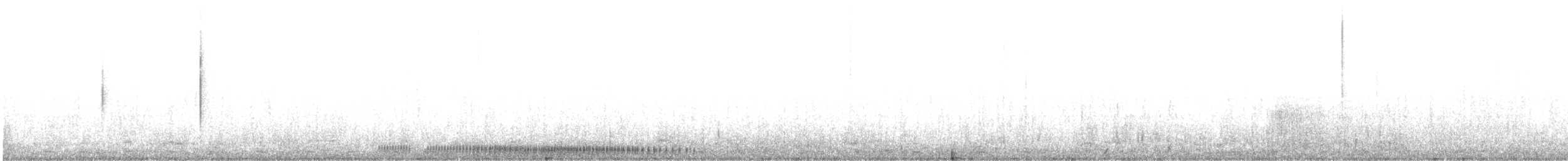 morčák chocholatý - ML89340961