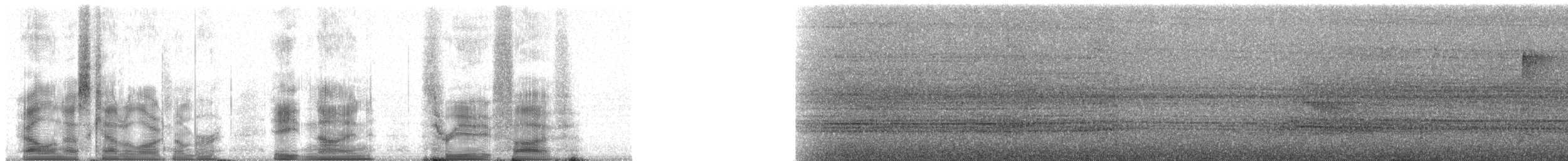 Üç Şeritli Ötleğen (auricularis) - ML89385