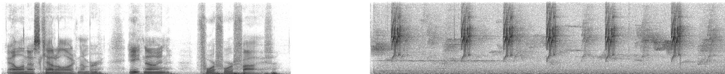 Uzun Gagalı Hermit [longirostris grubu] - ML89445