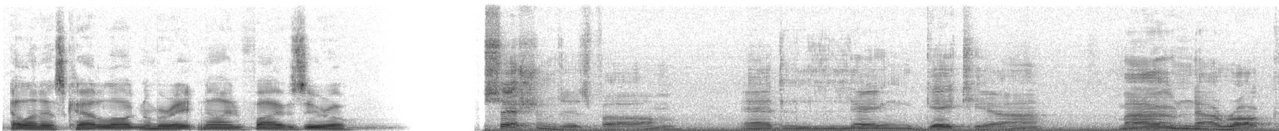 rødpannebuskvarsler - ML8950