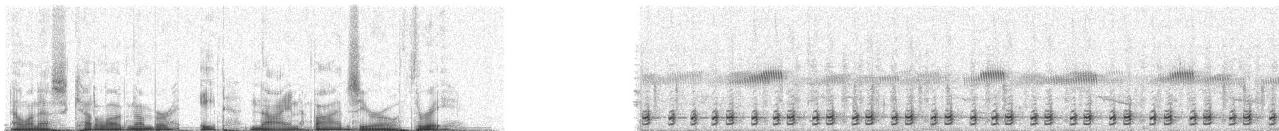 blodnebbtoko - ML89503