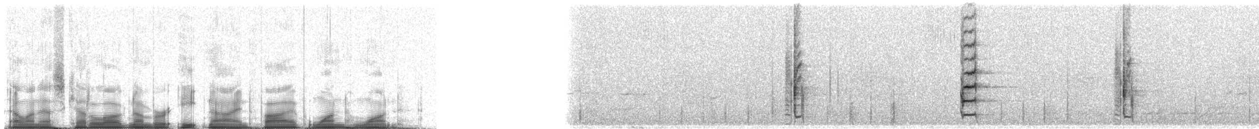 Fork-tailed Drongo - ML89511