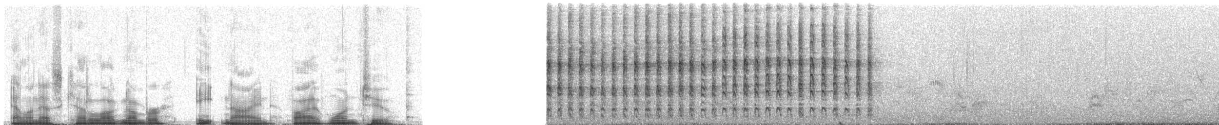 Crested Barbet - ML89512