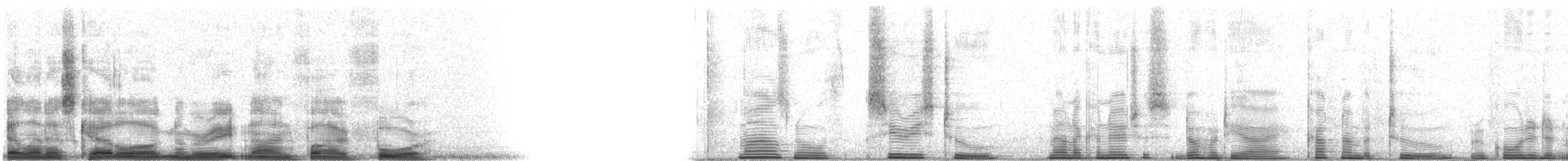 rødpannebuskvarsler - ML8954