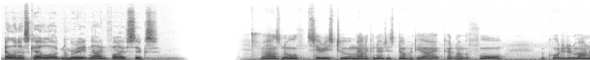 Rotstirnwürger - ML8956