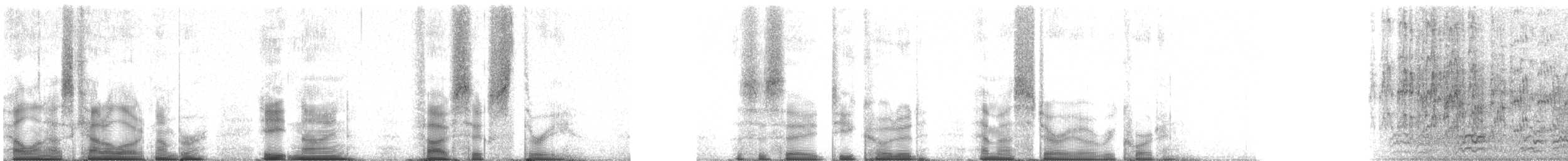 rorýs bělohrdlý - ML89563