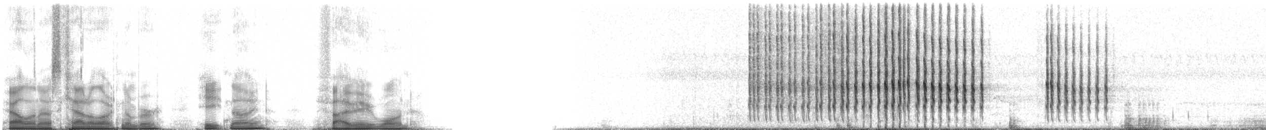 Belted Kingfisher - ML89581