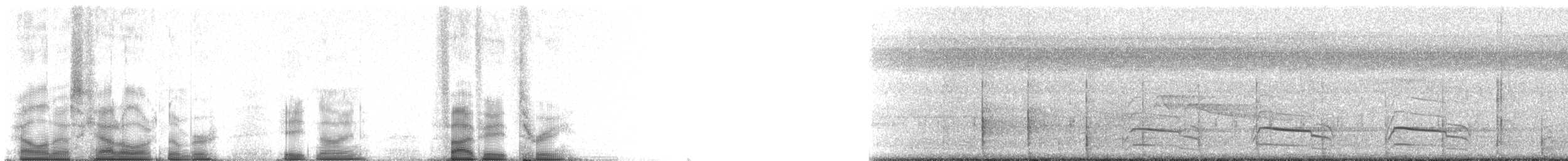 Pileated Woodpecker - ML89583