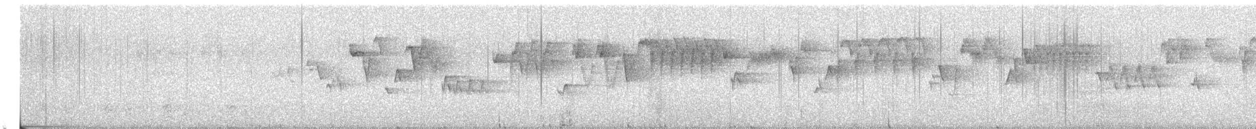 Troglodyte de Baird (groupe pacificus) - ML89624111