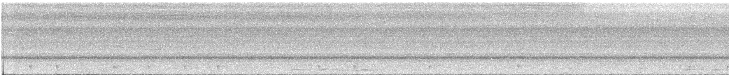 Trogón de Baird - ML89672471