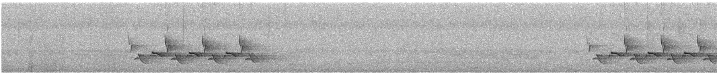 Поплітник каролінський - ML89758001