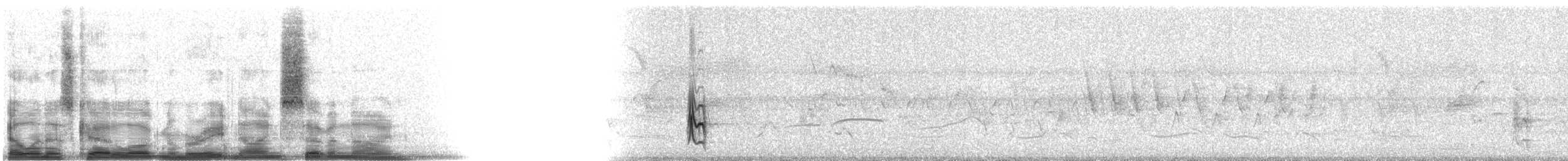 Gray Silky-flycatcher - ML8979