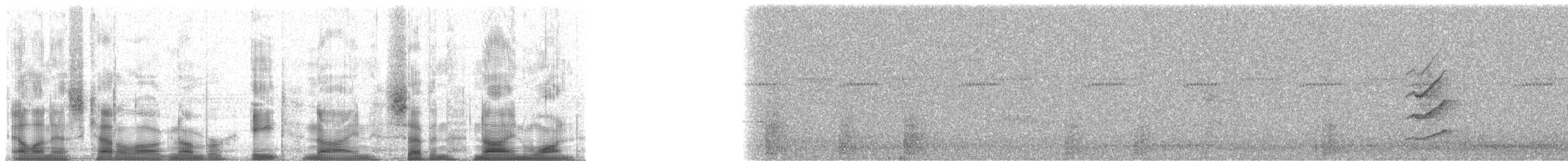 Jaguarundi - ML89791