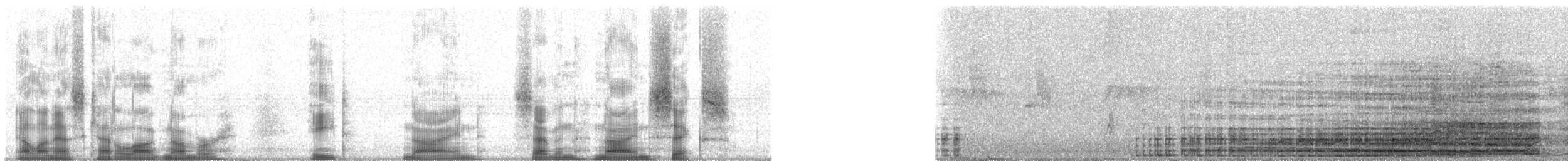 Yucatán Black Howler Monkey - ML89796