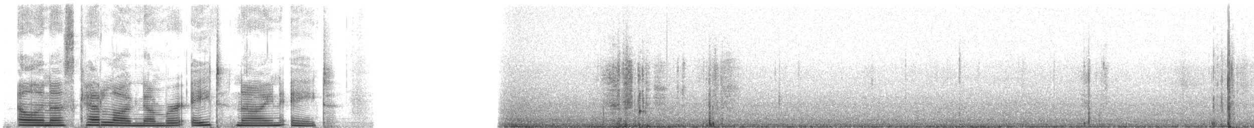 Yellow-eyed Penguin - ML898