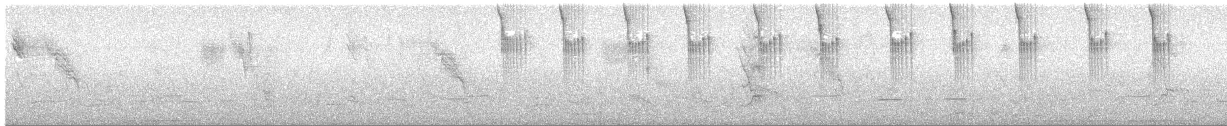 Braunbauchamazilie - ML89840861