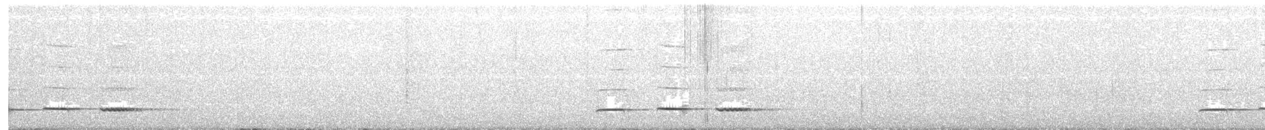 Fasanenkuckuck - ML89904021
