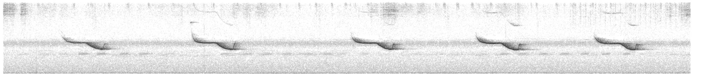 Breitspiegel-Nachtschwalbe - ML89918521