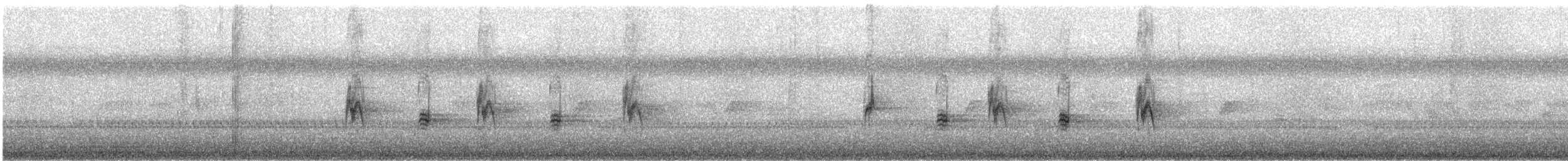 China-Rotschnabelbülbül (nigerrimus) - ML89932811