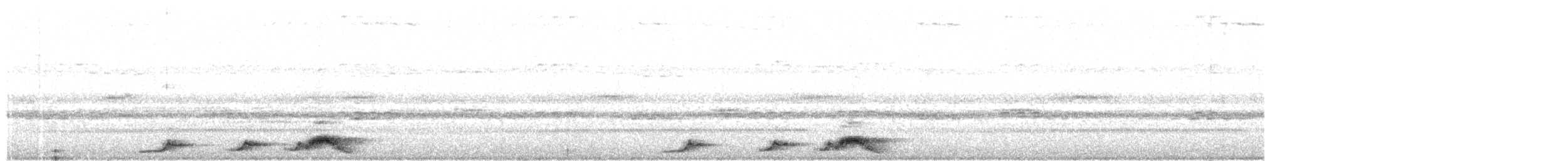 Pauraquenachtschwalbe - ML89949301