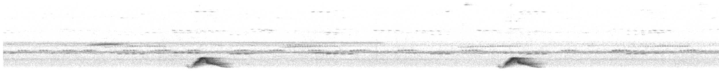 Pauraquenachtschwalbe - ML89949381