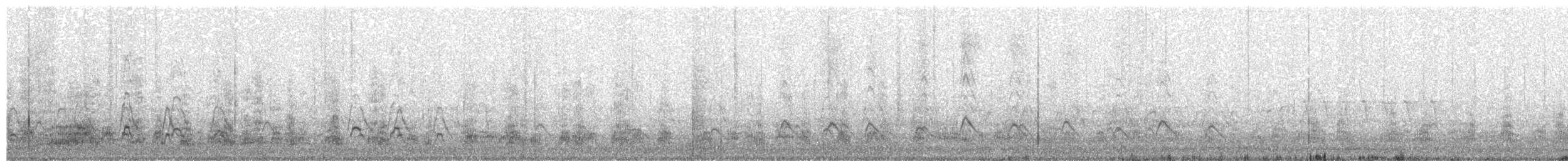 American Wigeon - ML89970841