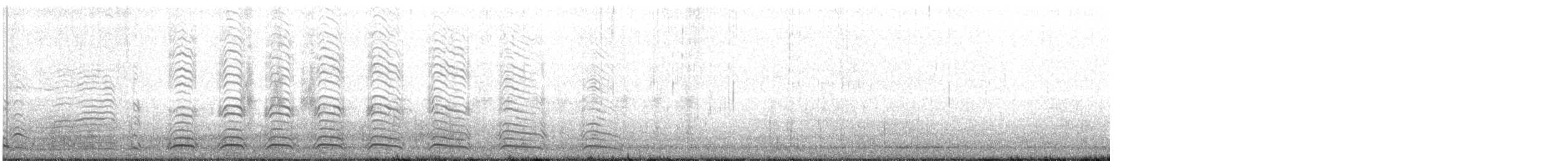 Чернохвостая чайка - ML90020491