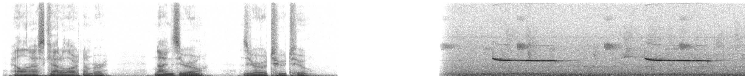 Smaragdan oreillard (mikettae) - ML90022