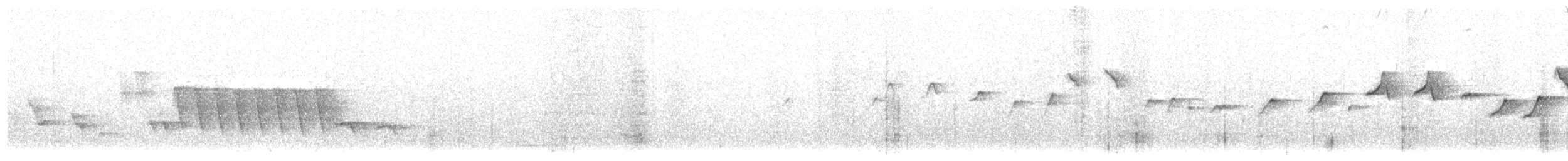 Белолицая канделита - ML90051561
