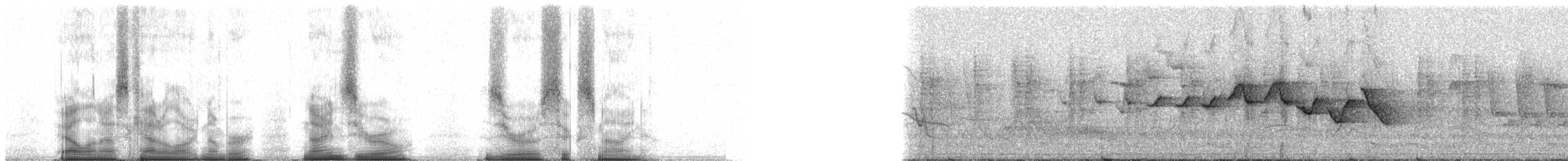 Веерохвостая корольковка - ML90069