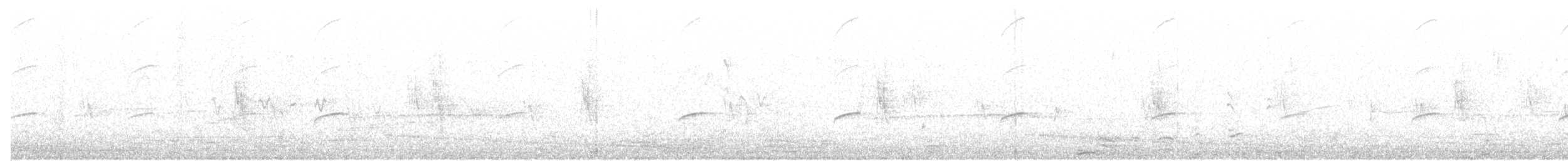 langhalemønjefugl - ML90076071