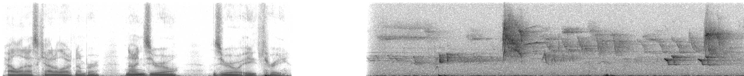 Ticotico de Anteojos (variegaticeps) - ML90083