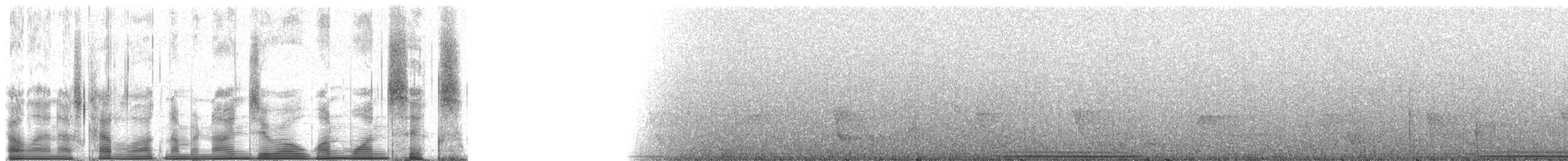 Голубок бурий (підвид montana) - ML90116