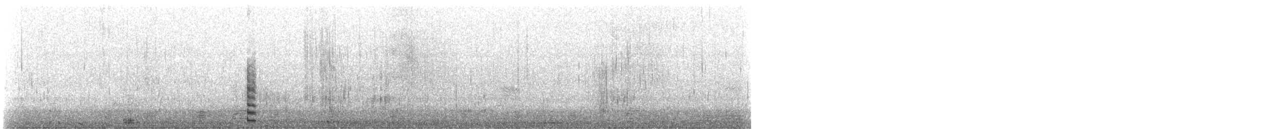 Zwergschwan (Pfeifschwan) - ML90118511