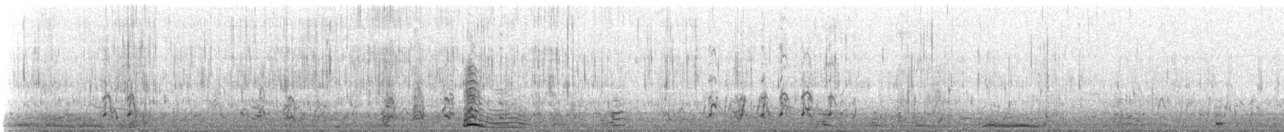 Zwergschwan (Pfeifschwan) - ML90118551