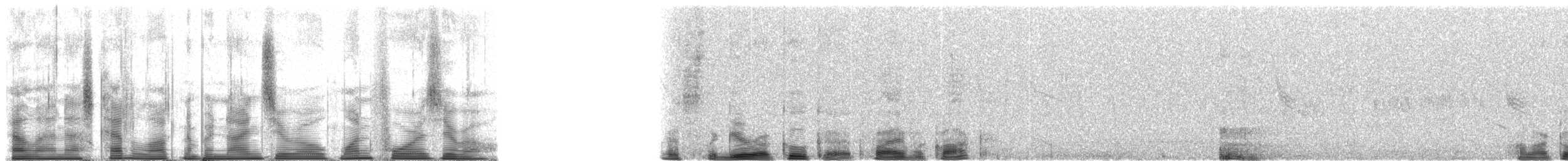 Guira Cuckoo - ML90140