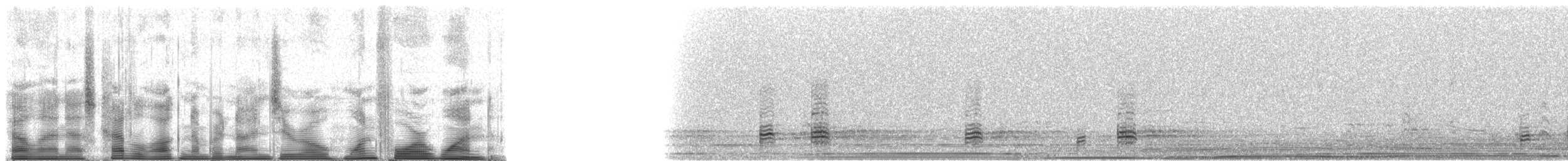 Buff-necked Ibis - ML90141