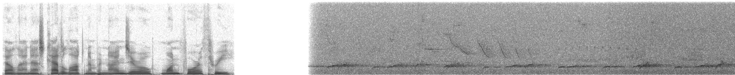 Slaty-breasted Wood-Rail - ML90143